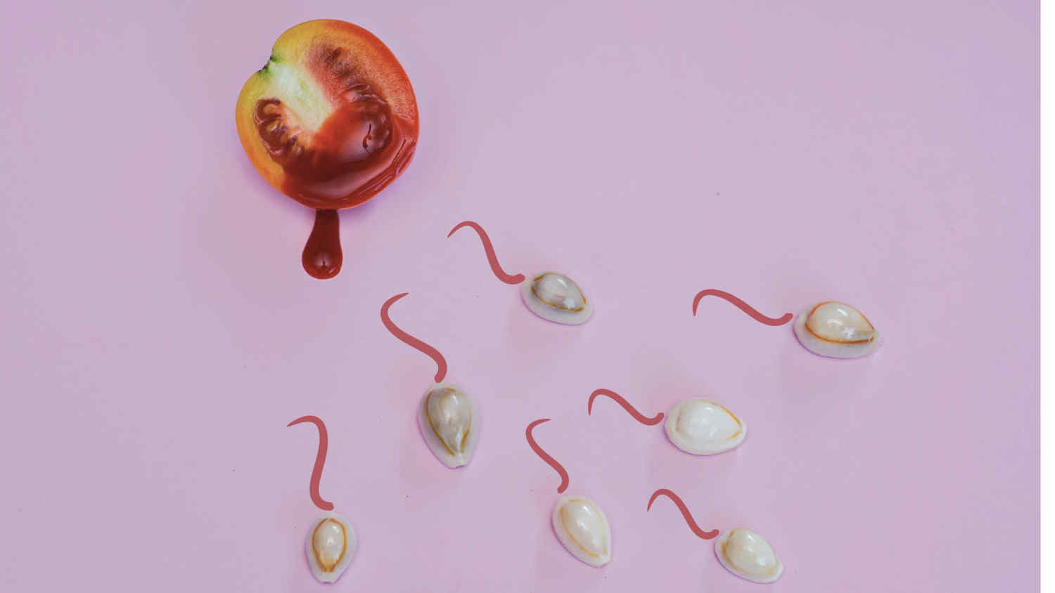 Můžu otěhotnět během menses? Titulní obrázek článku Můžu otěhotnět během menses?