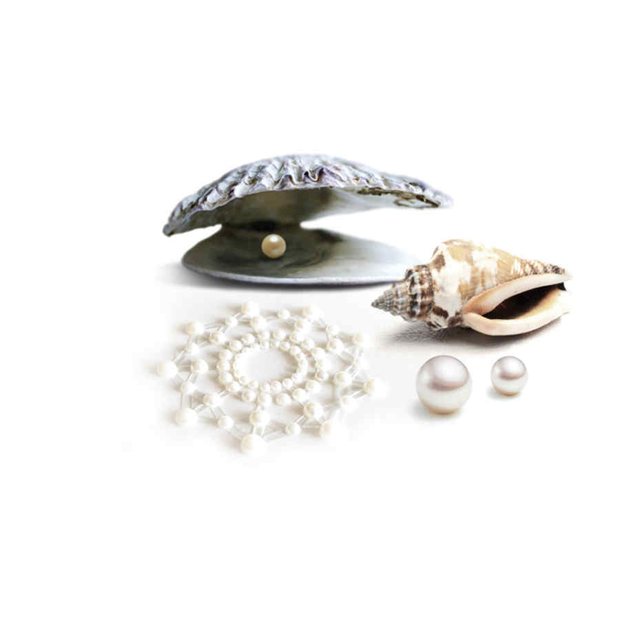Náhled produktu Ozdoby na bradavky Bijoux Indiscrets Mimi Pearl, perleťová