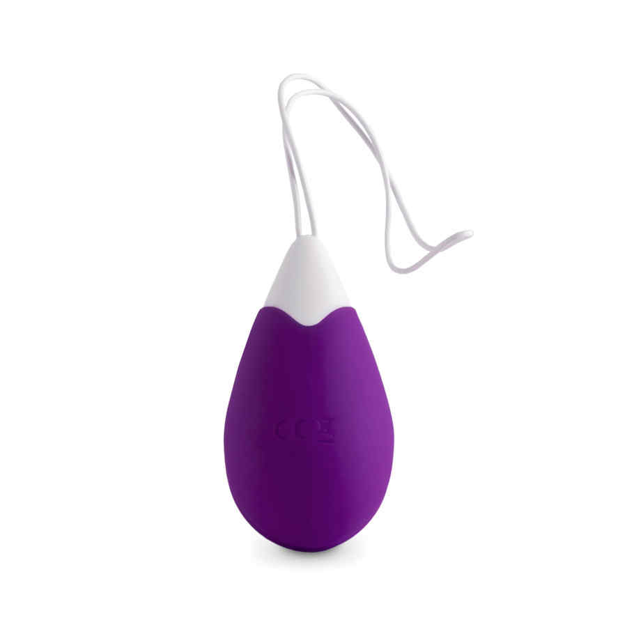 Náhled produktu FeelzToys - Anna Vibrating Egg Remote Deep Purple - vibrační vajíčko s dálkovým ovládáním